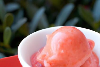 Sweet & Simple: Making Sugar-Free Strawberry Sorbet at Home