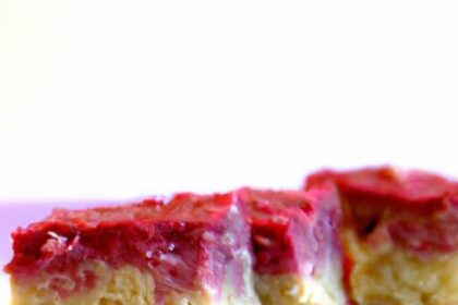Deliciously Nutritious: Low Carb Coconut Raspberry Bars